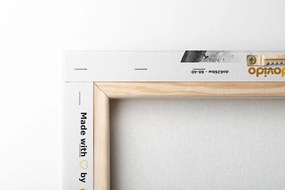 Tablou portretul femei în acuarelă în design alb-negru
