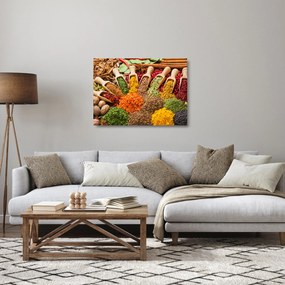 Tablou pe sticlă - Condimente din întreaga lume (70x50 cm)