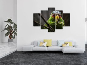 Tablou cu papagal (150x105 cm)