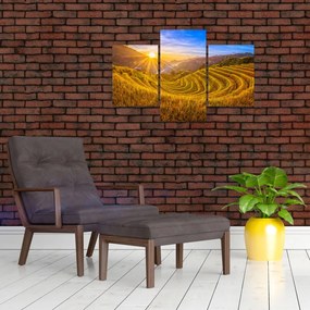 Tablou - Terasele de orez din Vietnam (90x60 cm)