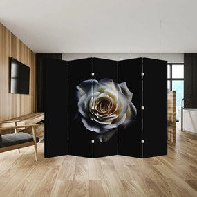 Paravan - Trandafir alb (210x170 cm)