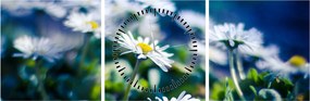 Tablou - Margarete (cu ceas) (90x30 cm)