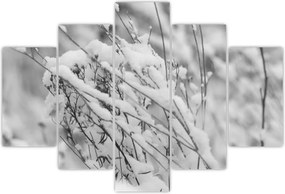 Tablou - Ramuri înzăpezite (150x105 cm)