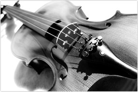 Tablou - Vioară (90x60 cm)