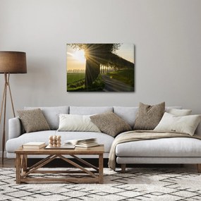 Tablou cu alee (70x50 cm)