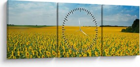 Tablou - câmp cu floarea soarelui (cu ceas) (90x30 cm)
