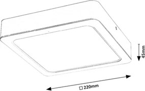 Plafonieră LED SHAUN LED/24W/230V 22 cm Rabalux 3176