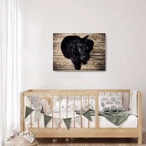 Tablou pe sticlă cu cățeluș negru (70x50 cm)