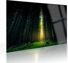Tablou pe sticlă cu pădurea întunecată (70x50 cm)
