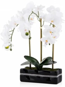 Floare decorativa orhidee Orchianum Diam