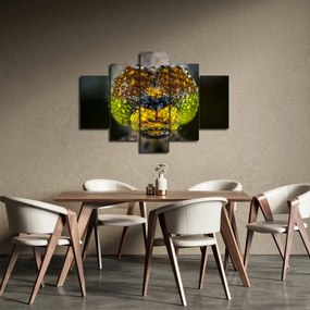 Tablou detailat cu ochii de omidă (150x105 cm)