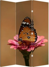 Paravan - Fluture pe floare (126x170 cm)