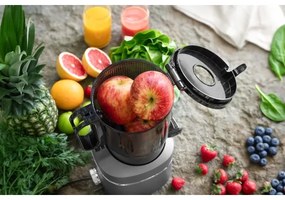 Storcător melcat pentru fructe și legume Concept LO7120 JUICY 250W/230V gri