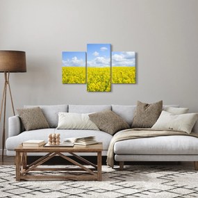 Tablou - Câmp galben (90x60 cm)