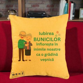 Cadou pentru Bunici - Perna Personalizata Bunicii Iubirea Infloreste Cuplu Senior Teal, 40x40 cm, Galben, Husa Detasabila, Perna Inclusa, BEKZ®