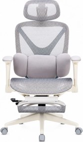 DeluxStar YX-977 NEXOR PRO MESH – Scaun Ergonomic cu Suport Lombar 3D, Tetieră 3D, Cotiere 4D, Șezut Glisant, Înclinare 140°, Suport pentru Picioare, Mesh, Gri