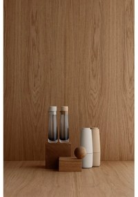 Set solniță și piperniță Blomus Nomad