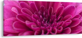 Tablou cu floare (120x50 cm)