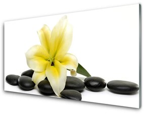Tablouri acrilice Pietrele de flori Arta Alb Verde Negru