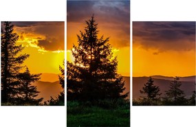 Tablou - coniferi (90x60 cm)