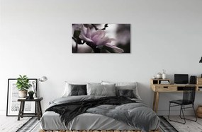 Tablouri canvas Magnolie