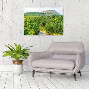 Tablou - Babi Hora, Polonia (70x50 cm)