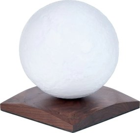 Decorațiune luminoasă maro închis cu USB ø 12 cm Smart LunaSpin – Gingko