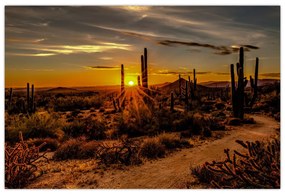 Tablou - Sfărșit de zi în deșertul Arizona (90x60 cm)