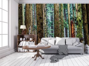 Fototapet - Pădure (254x184 cm)
