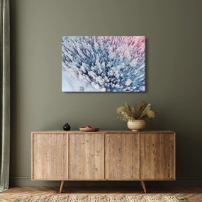 Tablou cu copaci înzăpeziți (90x60 cm)
