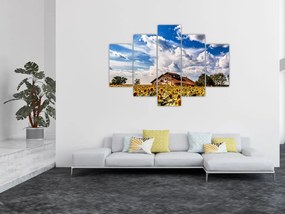 Tablou cu câmp de floarea soarelui (150x105 cm)