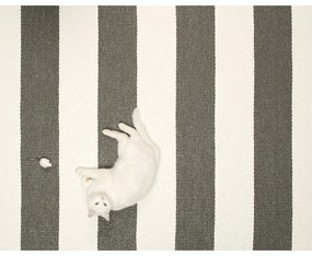 Covor tip traversă pentru interior și exterior gri antracit/crem 70x150 cm Bob Charcoal Linen – Pappelina