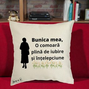 Cadou pentru Bunica - Perna Personalizata Bunica Mea Comoara Iubire Intelepciune Silueta cu Nepoata, 40x40 cm, Ecru, Husa Detasabila, Perna Inclusa, BEKZ®