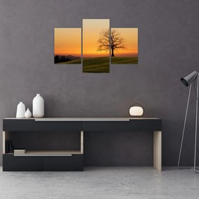 Tablou cu apus de soare pe o luncă (90x60 cm)