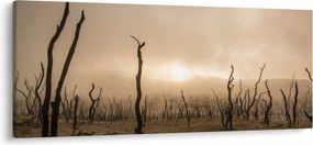 Tablou - Copaci goi (120x50 cm)