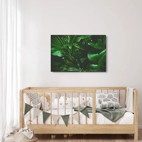 Tablou - Frunze de palmier (90x60 cm)