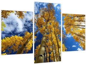 Tablou - Aspen (90x60 cm)