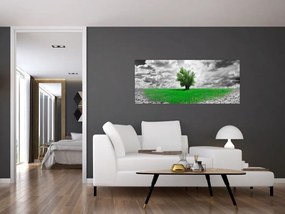 Tablou - O bucată de natură în oraș (120x50 cm)