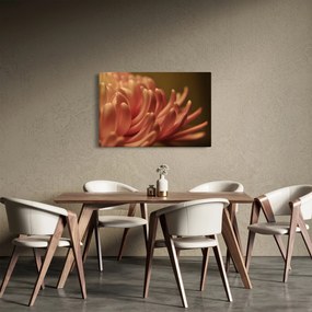 Tablou cu detailu florii (90x60 cm)