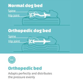 Luna, pat pentru câine, pernă pentru câine, lavabil, ortopedic, antiderapant, spumă cu memorie, dimensiunea L (100 × 10 × 65 cm)