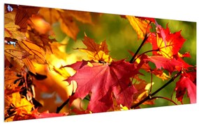 Tablou cu frunze de toamnă (120x50 cm), în 40 de alte dimensiuni noi