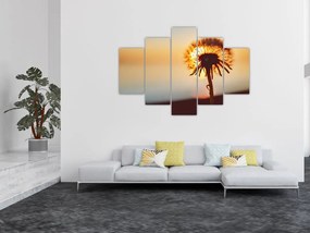 Tablou - Păpădie la apus de soare (150x105 cm)