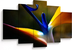 Tablou - Floare exotică (150x105 cm)
