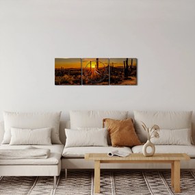 Tablou - Sfărșit de zi în deșertul Arizona (cu ceas) (90x30 cm)