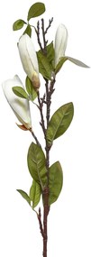 Creanga cu magnolie alba, SPRING, 100cm