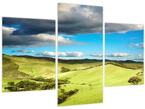 Tablou - Peisaj verde cu dealuri (90x60 cm)