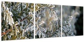 Tablou - Detaliu ramură (cu ceas) (90x30 cm)