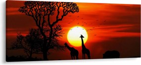 Tablou - Siluete animalelor la apus de soare (120x50 cm)