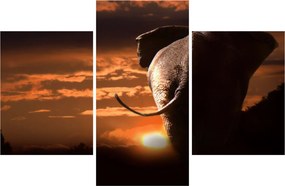 Tablou cu elefant (90x60 cm)