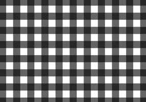 Fototapet - Dama alb neagră (152,5x104 cm), în 8 de alte dimensiuni noi